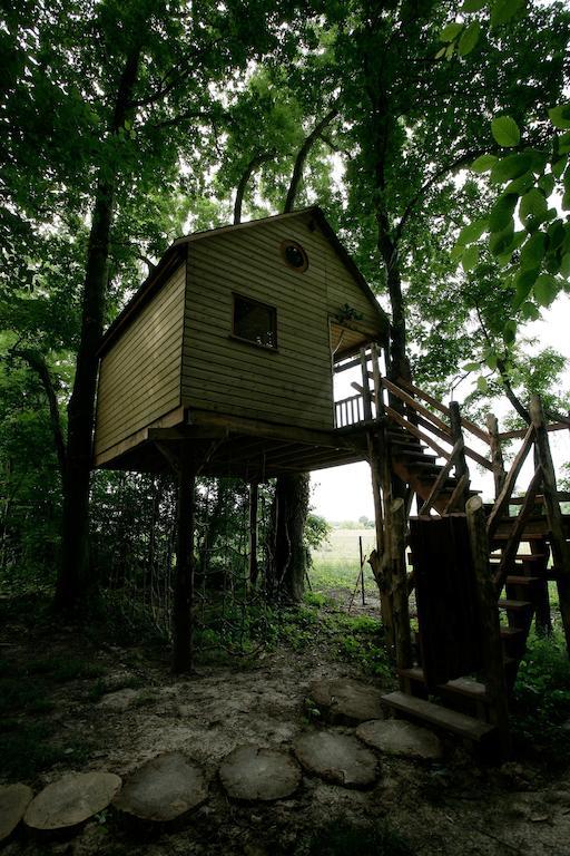 La Cabane Aux Secrets - Au Milieu De Nulle Part Outines Ruang foto